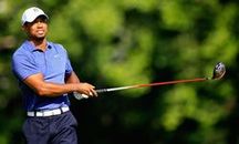 Tiger Woods  Obv